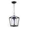 Maxim Lighting Artisan 1-Light 8" Wide Black Pendant Light 3179CLBK - alternate 1